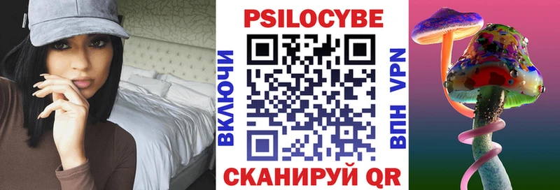 наркота  Грайворон  гидра маркетплейс  это какой сайт  Галлюциногенные грибы Cubensis 